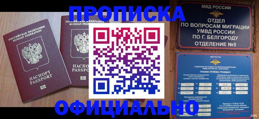 найти адрес прописки в Кировске